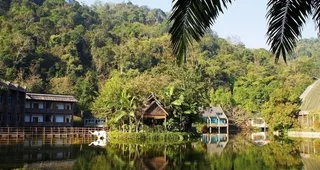 野象谷热带雨林景区图片