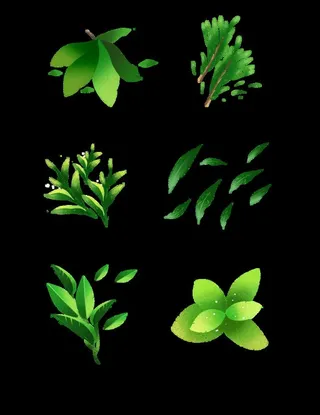 绿色叶子图片