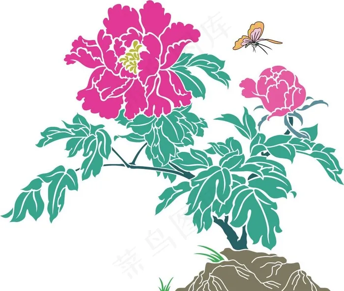 牡丹图片