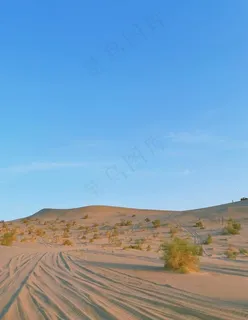 沙漠图片