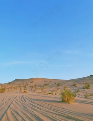 沙漠图片