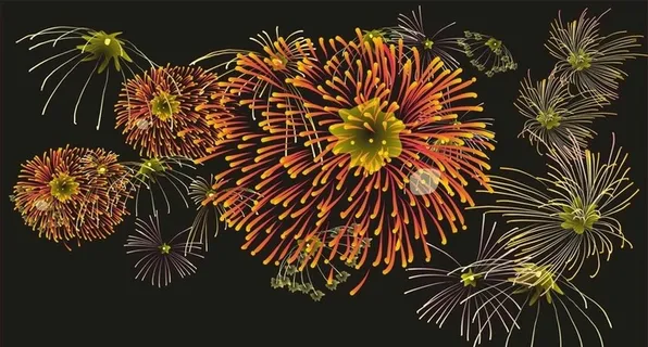 烟花图片 烟花图片