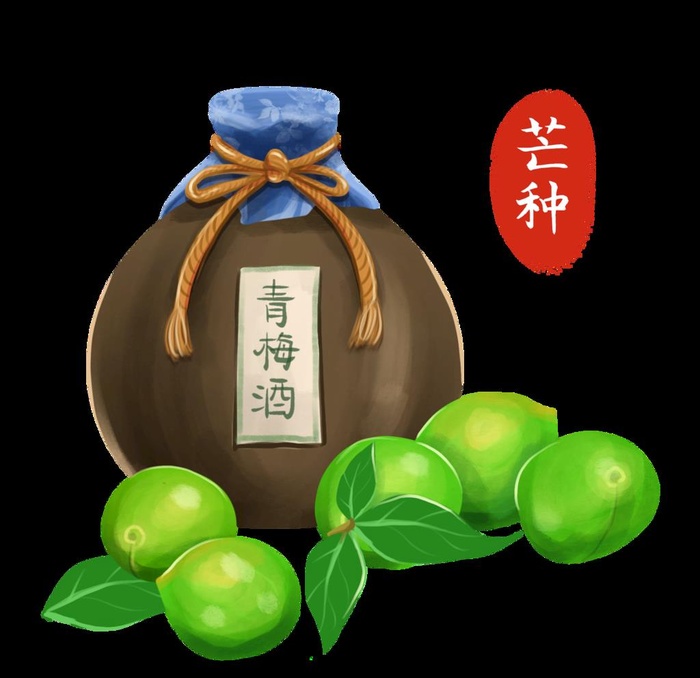 青梅酒图片