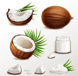 椰子 水果 蔬菜图片