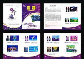 蓝莓饮料画册图片