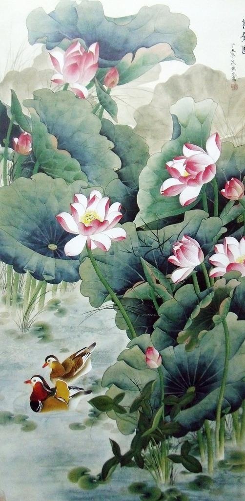 荷鸳图图片