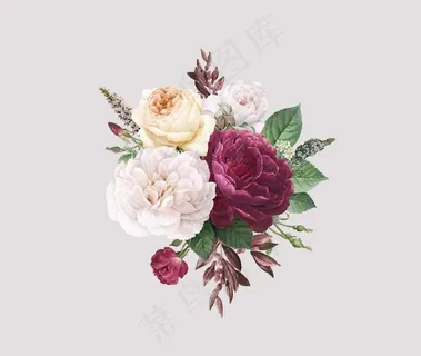 花图片 花图片