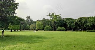户外草坪图片