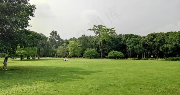 户外草坪图片 户外草坪图片