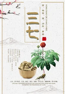三七图片