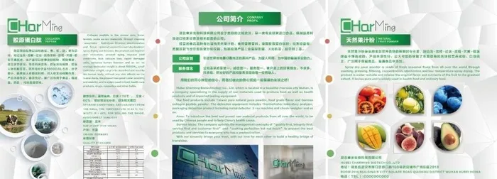 公司简介展板图片