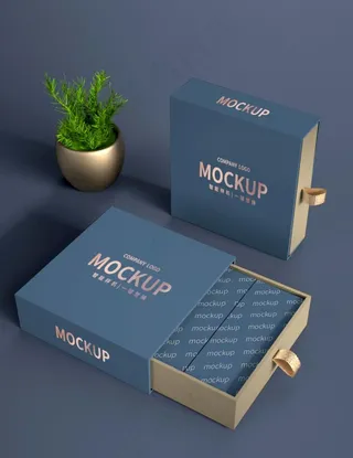 月饼包装样机图片