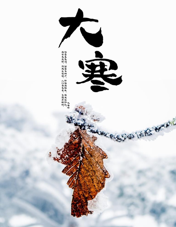 大寒图片(7087x9449)psd模版下载