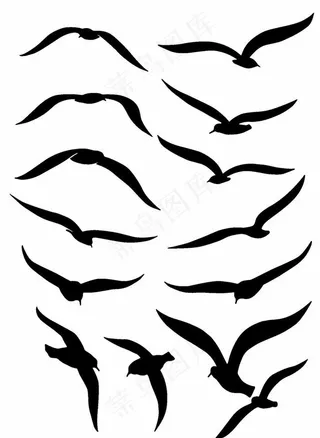 海鸥剪影图片
