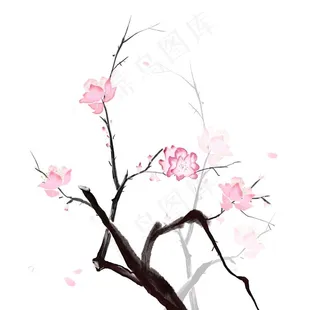 梅花素材 图片