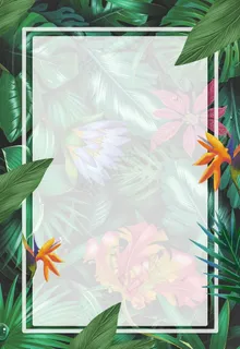 绿色边框背景图片