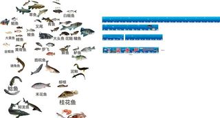 水产批发招牌图片