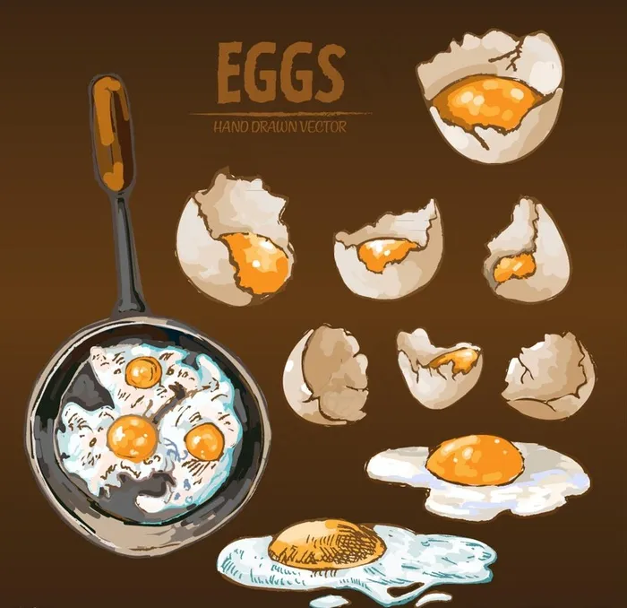 手绘烹饪鸡蛋料理矢量素材图片eps,ai矢量模版下载