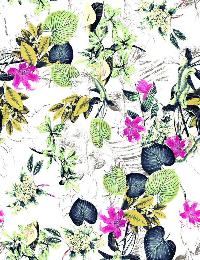 大牌 手绘花 热带植物 大叶子图片