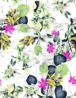 大牌 手绘花 热带植物 大叶子图片