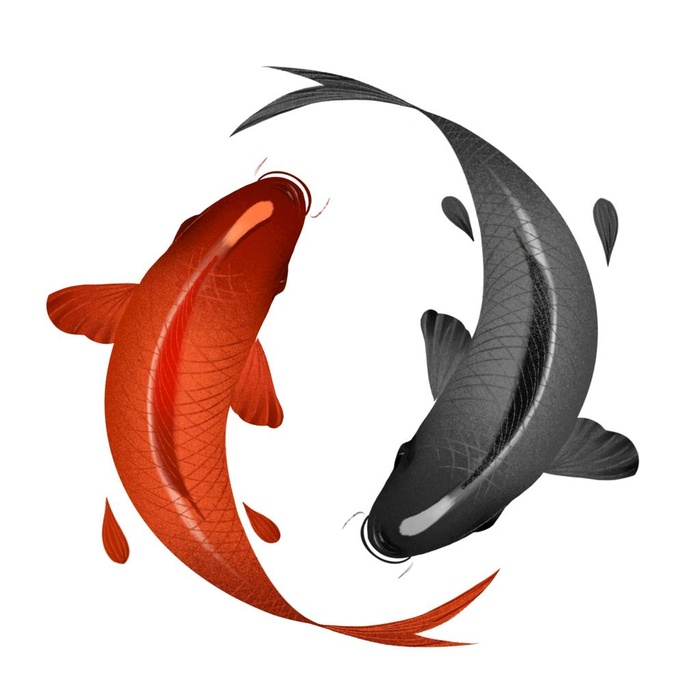 锦鲤  金鱼插画  国潮素材 图片