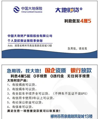大地保险 名片  中国十大图片