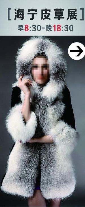 皮草 展架图片