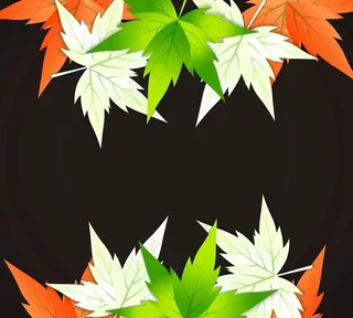 印度国旗颜色图片