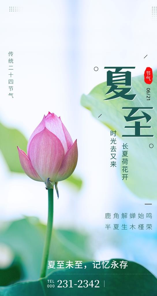 夏至插图海报图片(750x1334)psd模版下载