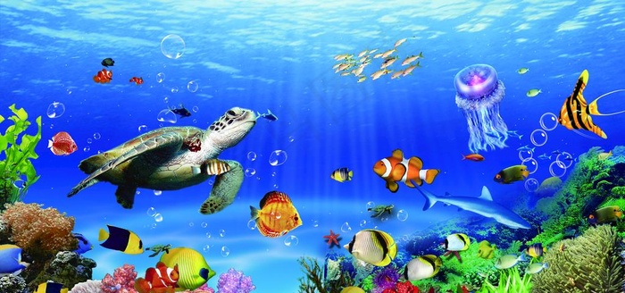 海底世界图片