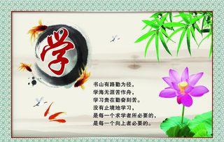 校园文化学习图片