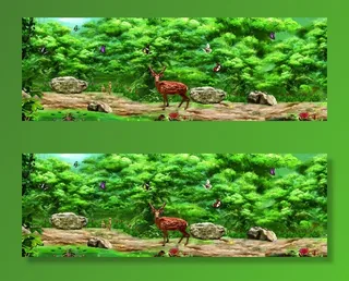 绿野仙踪  魔幻森林图片