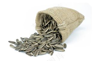 瓜子干货高清图片