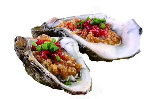 生蚝 矢量图图片 生蚝 矢量图图片