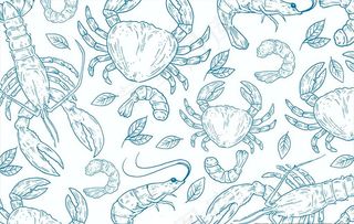 手绘海鲜水产背景底纹图片