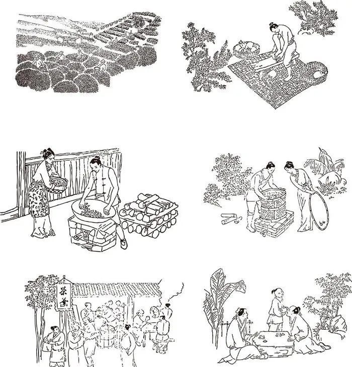 古人制茶图 图片