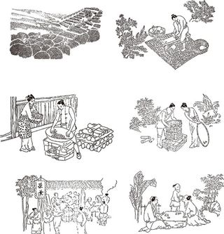 古人制茶图 图片