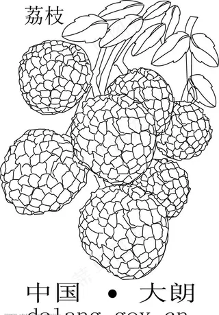 矢量荔枝图 手绘荔枝图片