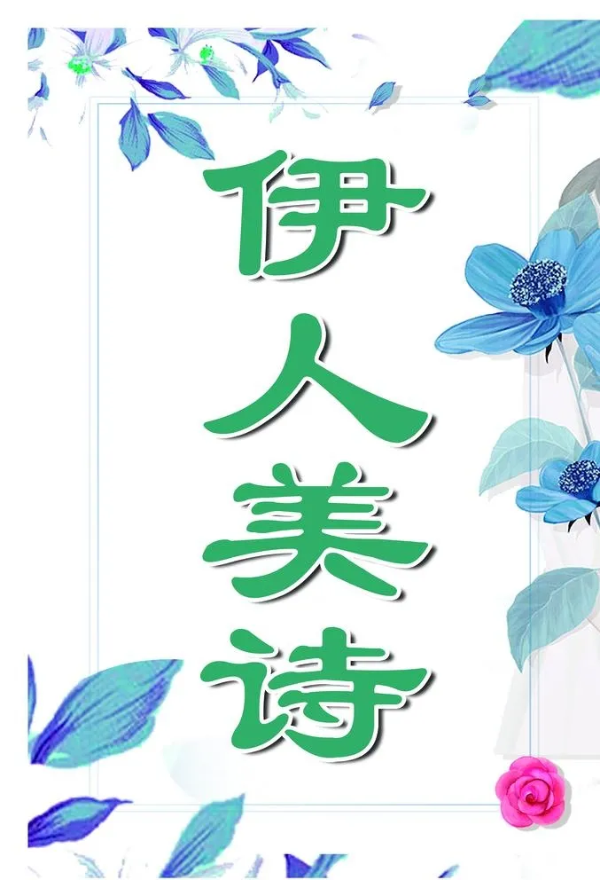 美容图片