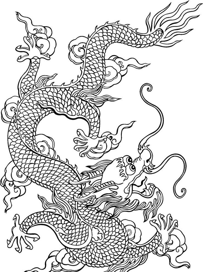 绘画龙图片(1492x2065)