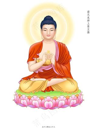 龙种上尊王佛图片