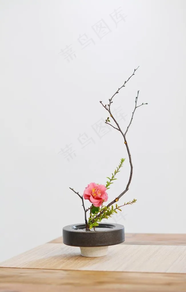 插花图片