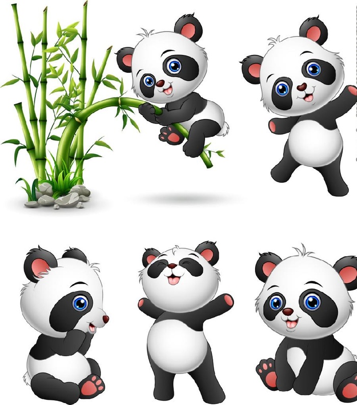 熊猫插画图片