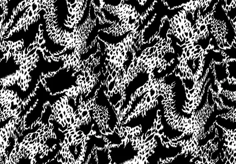 黑白豹纹图片