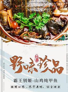 野味珍品美味海报图片