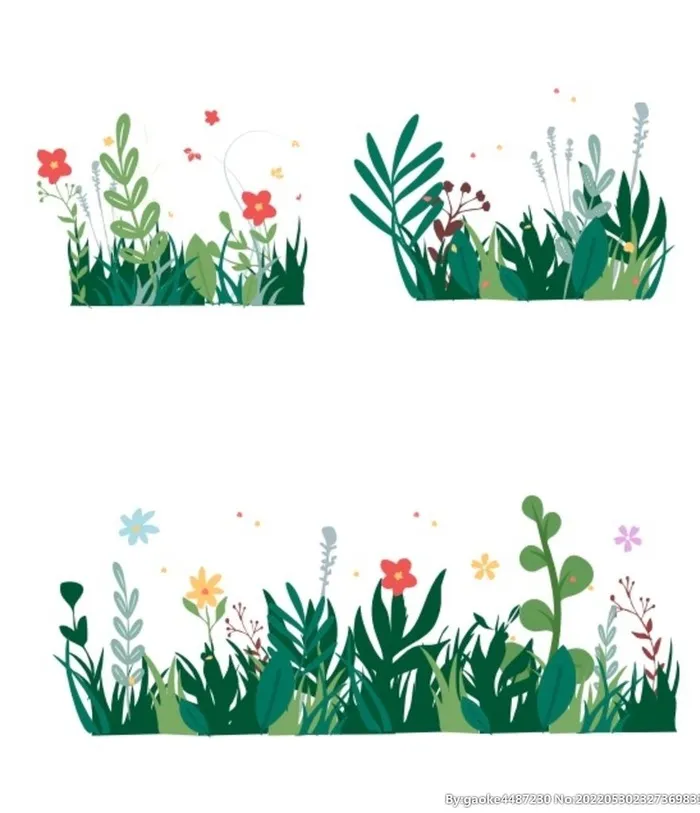 花花草草图片