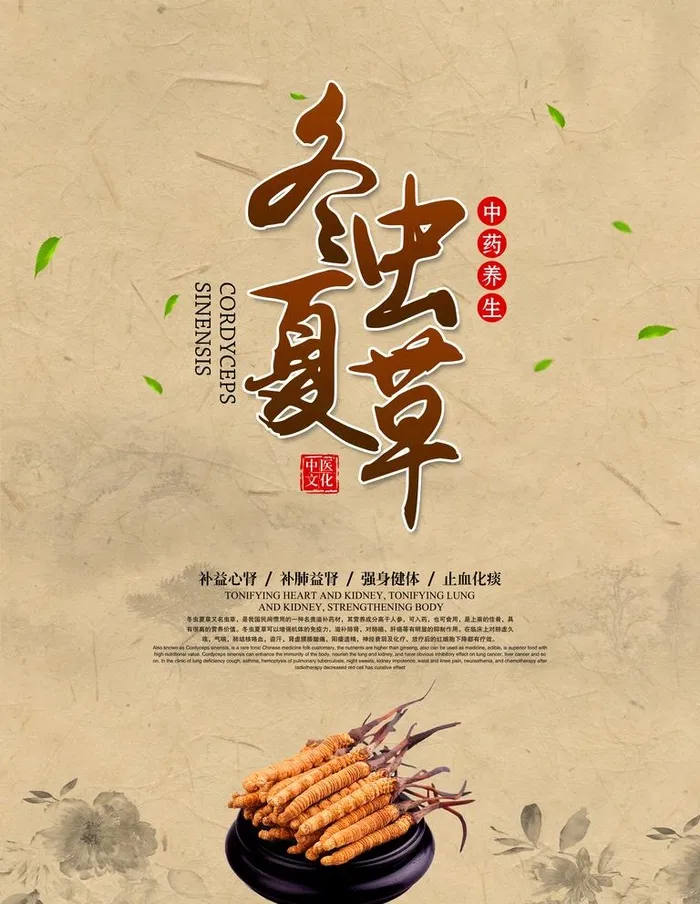 中医养生图片(3543x4724)psd模版下载