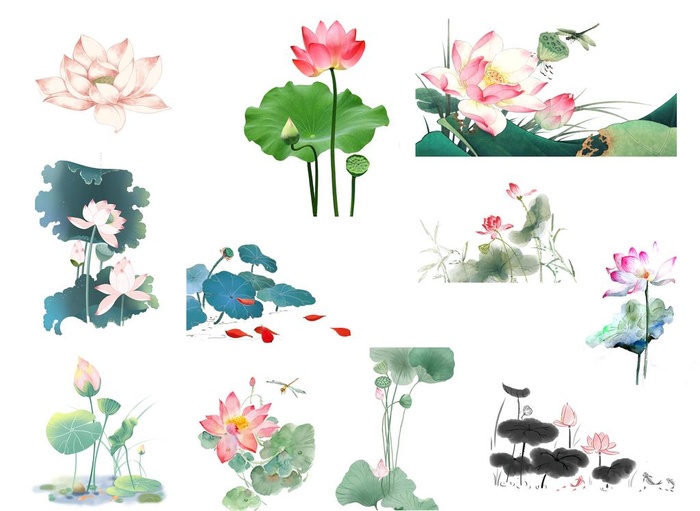 荷花图片(3328x2534)psd模版下载
