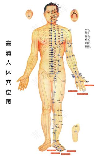 高清人体穴位图图片