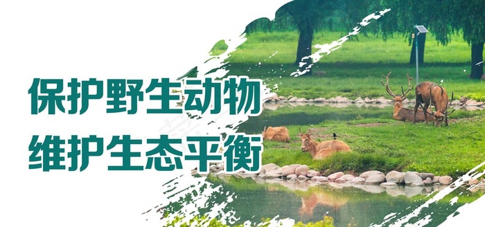 保护野生动物展板图片(7874x3937)psd模版下载